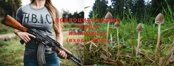 сатива Зеленодольск