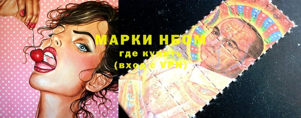 сатива Зеленодольск